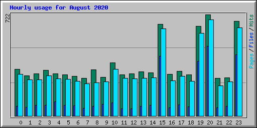 Hourly usage for August 2020