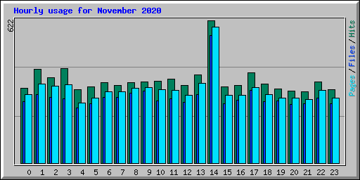 Hourly usage for November 2020