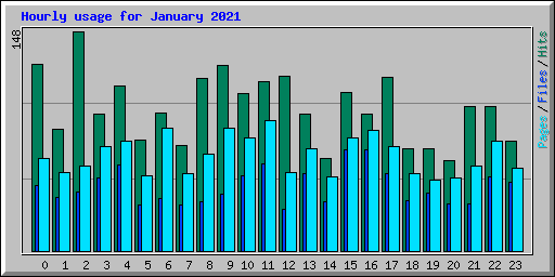 Hourly usage for January 2021