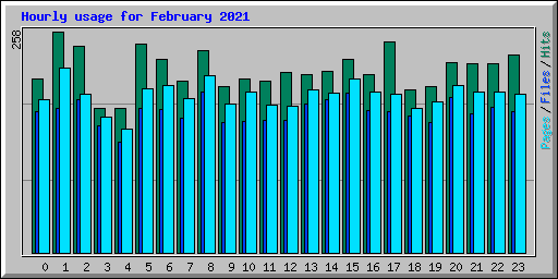 Hourly usage for February 2021