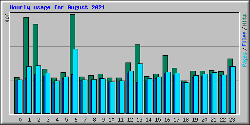 Hourly usage for August 2021